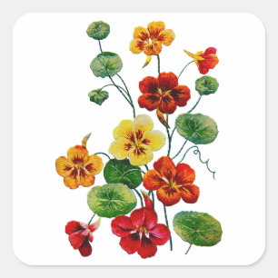 Vackra färgstarka broiderade nasturtium fyrkantigt klistermärke
