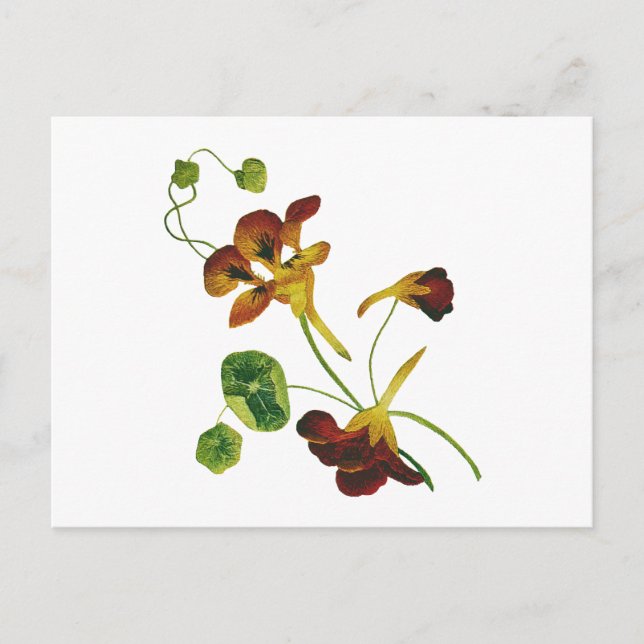 Vackra färgstarka broiderade nasturtium vykort (Framsida)