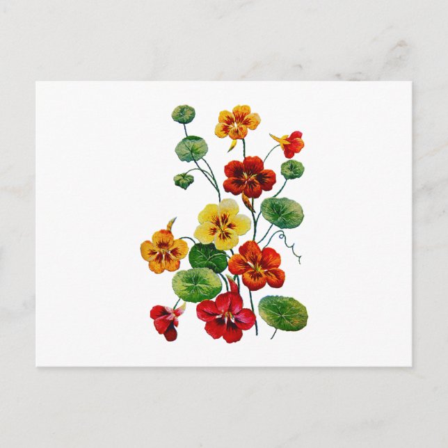 Vackra färgstarka broiderade nasturtium vykort (Framsida)