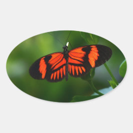 Vackra Fiery Red och Black Butterfly Ovalt Klistermärke