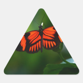 Vackra Fiery Red och Black Butterfly Triangelformat Klistermärke
