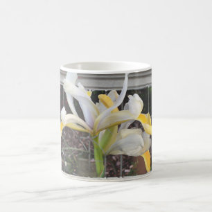Vackra Finare Tulip i Eleganten Mugg