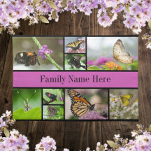 Vackra fjäril- och Blommigt-familjen Namn