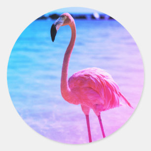 Vackra Flamingo i Vatten på en båge Runt Klistermärke
