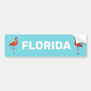 Vackra Florida Flamingos på ljust blått Bildekal