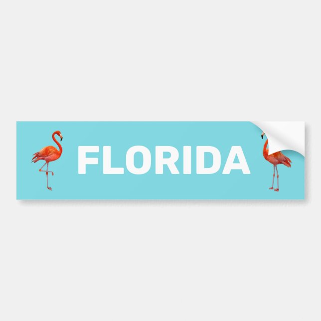 Vackra Florida Flamingos på ljust blått Bildekal (Framsidan)
