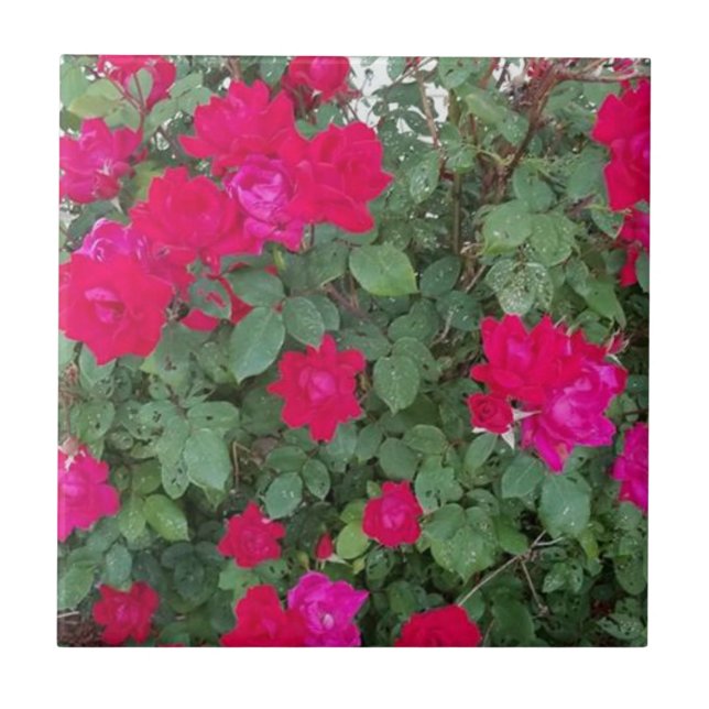 Vackra Flowers Kakelplatta (Framsidan)