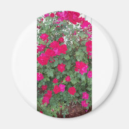 Vackra Flowers Magnet