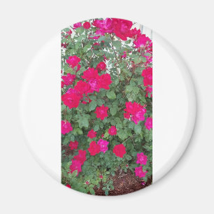 Vackra Flowers Magnet