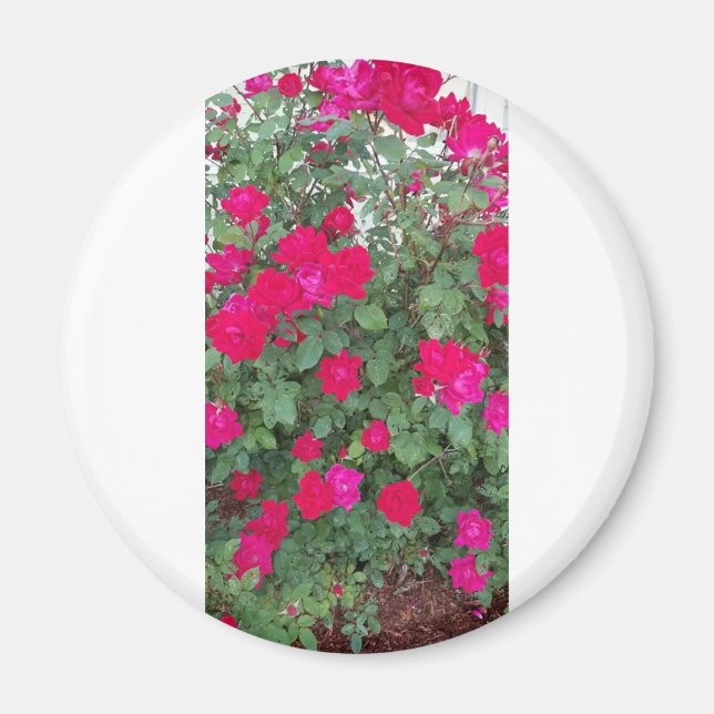 Vackra Flowers Magnet (Framsidan)