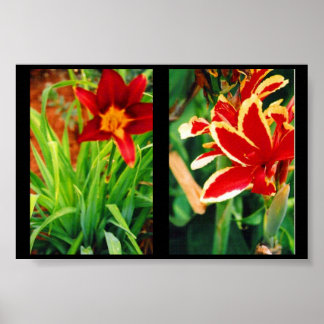Vackra Flowers Poster