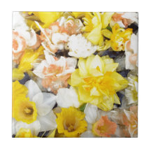 Vackra foto vår-daffodils flytande på vatten
