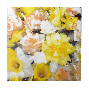 Vackra foto vår-daffodils flytande på vatten kakelplatta