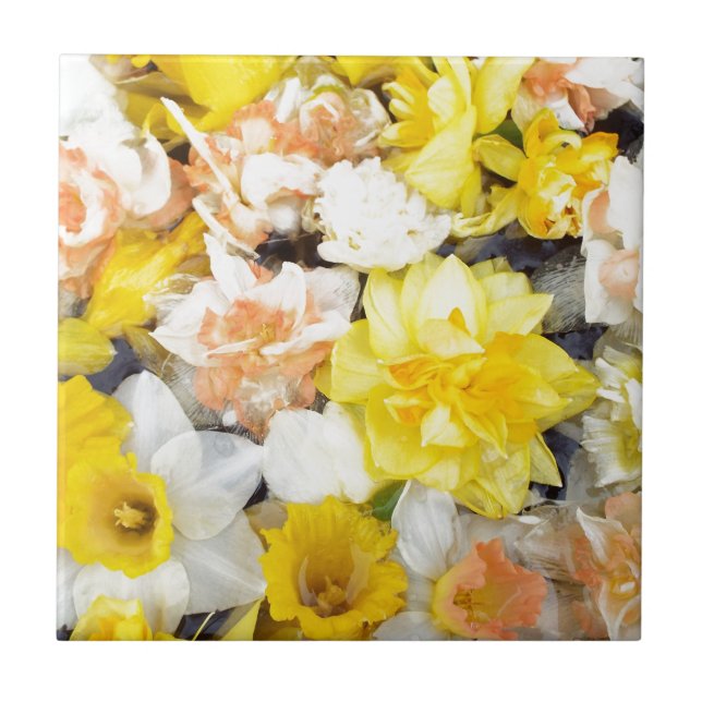 Vackra foto vår-daffodils flytande på vatten kakelplatta (Framsidan)