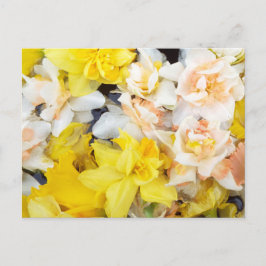 Vackra foto-vår-daffodils flytande på vatten vykort