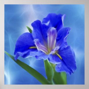 Vackra fractal iris och dess betydelse poster