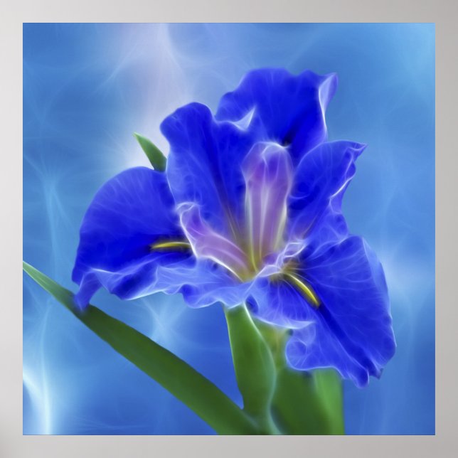 Vackra fractal iris och dess betydelse poster (Framsidan)