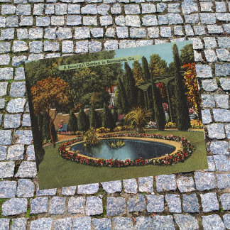 Vackra Garden i Savannah GA-vykort Vykort
