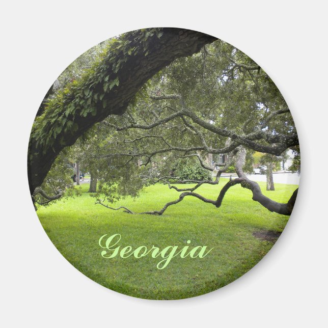 Vackra Georgia Oak och Grönt Gräsmatta Magnet (Framsidan)
