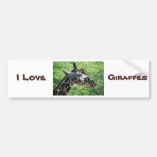 Vackra Giraffe Bildekal