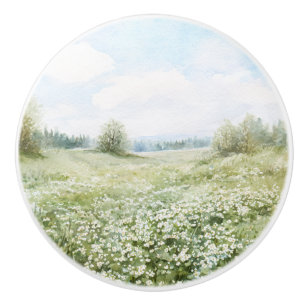 Vackra Gröna Äng Blommor Blå Himmel Knopp