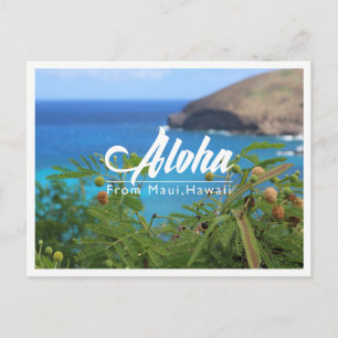 Vackra gröntar och blått från Maui Hawaii-vykort Vykort