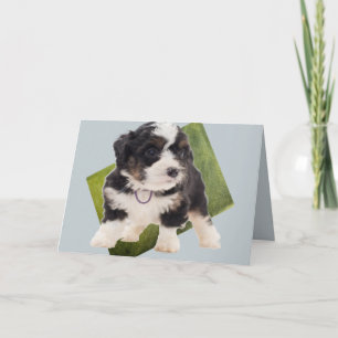 Vackra Grönten Bernedoodle Puppy Art Kort