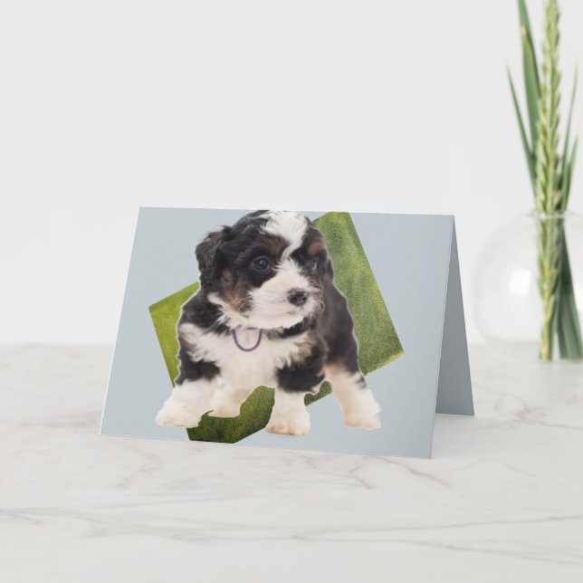 Vackra Grönten Bernedoodle Puppy Art  Kort (Framsida)