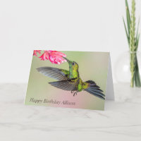 Vackra Grönten Crowley Hummingbird Grattis på föde