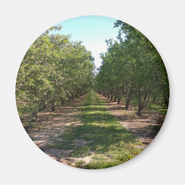 Vackra Grönten Oändlig Orchard Row Magnet (Framsidan)