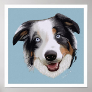 Vackra handmålade Australian shepherd Poster