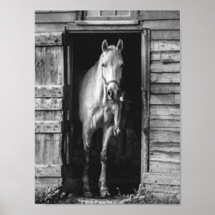 Vackra hästar B&W Rustic Farmhouse Poster