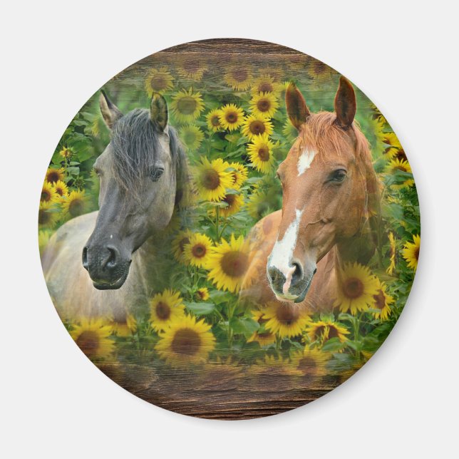Vackra hästar i Fält i solblommor Magnet (Framsidan)