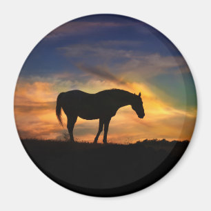 Vackra hästar i Sunset Art Magnet