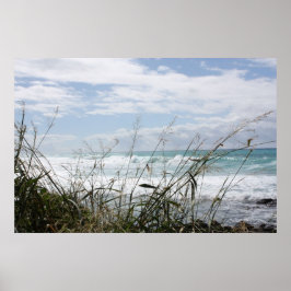 Vackra Hawaiianska oceanen Poster