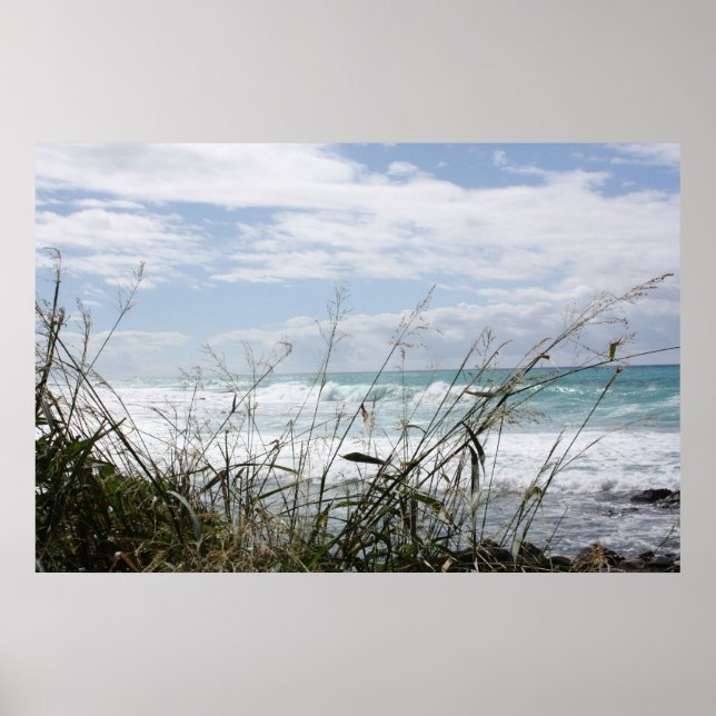 Vackra Hawaiianska oceanen Poster (Framsidan)