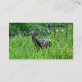 Vackra Hjortar Affärskort Visitkort