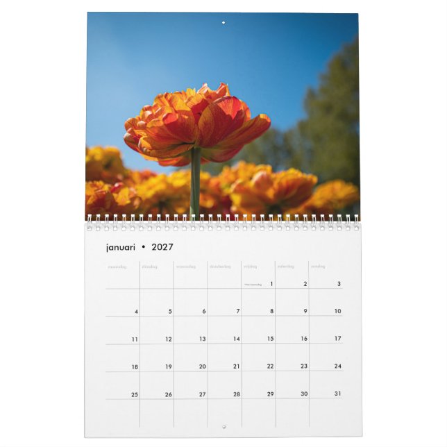 Vackra holländska tulips kalender (Jan 2027)