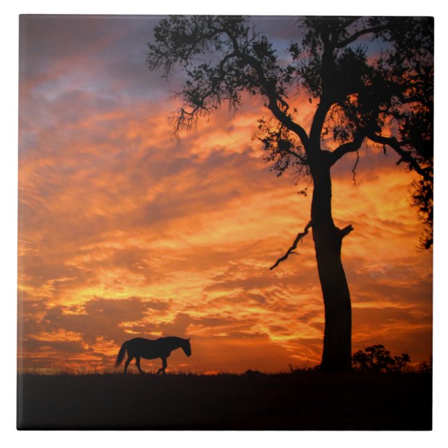 Vackra Horse and Southwest Sunset Art Kakelplatta (Framsidan)