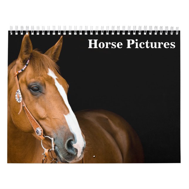 Vackra Horse Bilder Bilder 2025 Kalender (Omslag)