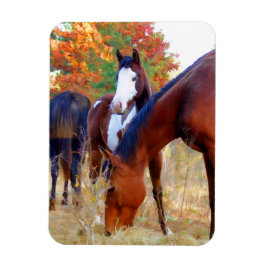 Vackra Horse Magnets Magnet