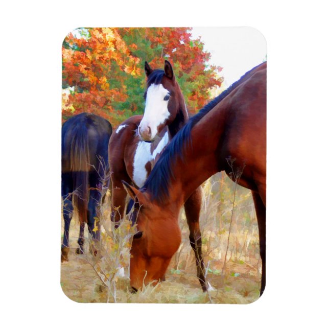 Vackra Horse Magnets Magnet (Vertikal)