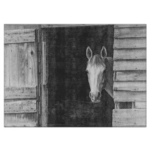 Vackra Horse och Barn Black + White