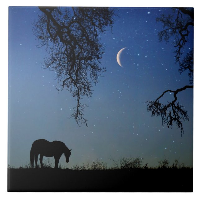 Vackra Horse och Måne Kakelplatta (Framsidan)