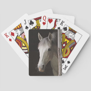 Vackra Horse och Rustic Barn Casinokort