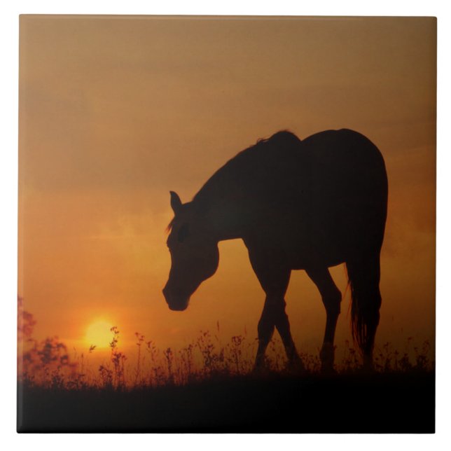 Vackra Horse och Southwest Sunset Kakelplatta (Framsidan)