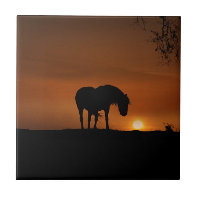 Vackra Horse och Southwest Sunset Kakelplatta (Framsidan)