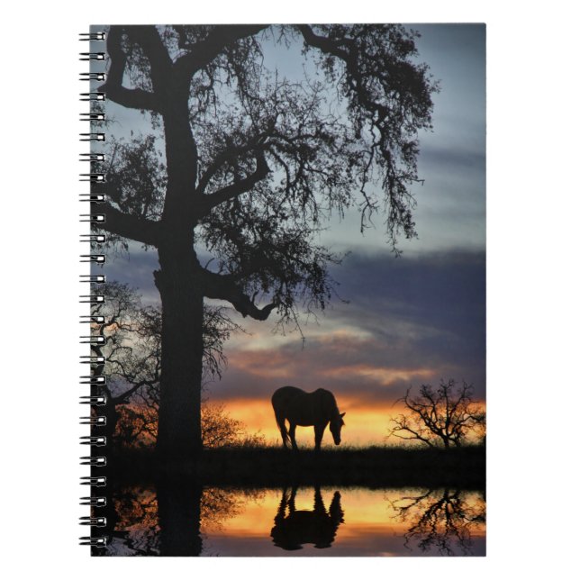 Vackra Horse och Vatten i Sunset Anteckningsbok (Framsidan)