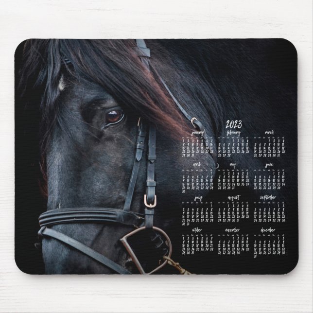 Vackra Horse Photo Calendar 2023 Musmatta (Framsidan)