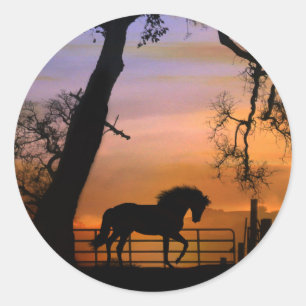 Vackra Horse Stickers Runt Klistermärke